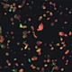 LED Fluorescent Trinocular Biological Microscope